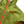 Load image into Gallery viewer, North Face Green GoreTex Active Jacket - Medium
