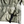 Load image into Gallery viewer, Stone Island 2020 Membrana+Oxford 3L Green Dust Colour Smock Jacket - Medium
