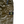 Load image into Gallery viewer, Stone Island 2025 Khaki Type Rx Fit Cargo Trousers - 32"
