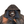 Load image into Gallery viewer, Stone Island 2014 Raso Hand Painted Tortoise Shell Camo Hooded Jacket - Small
