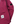 Load image into Gallery viewer, CP Company Fuchsia Pro Tek Hooded Zip up Jacket - Medium (48)
