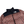 Load image into Gallery viewer, North Face X Supreme 2021 Red Studded Nupste 700 Down Filled Puffer Jacket - Medium
