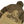 Load image into Gallery viewer, C.P. Company x Palace Rubber Wool Brown Duffel Jacket - Large

