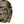 Load image into Gallery viewer, Stone Island 2024 Organic Camouflage Pullover Hoodie - Medium
