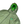Load image into Gallery viewer, CP Company Green Gore G-Type Ripstop Down Lined Jacket - XXL
