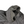 Load image into Gallery viewer, Stone Island Grey Nylon Metal Shimmer Overshirt - Medium
