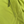 Load image into Gallery viewer, CP Company Yellow Soft Shell R Goggle Hooded Zipped Jacket - XL
