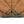 Load image into Gallery viewer, ROA Olive Tan Heavy Furry Jacket - Medium
