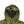 Load image into Gallery viewer, CP Company P.Ri.S.M Green Prismatic Ripstop Membrane Hooded Jacket - Medium
