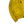 Load image into Gallery viewer, Stone Island 2013 Yellow Micro Rip Stop Tyveck Shield Jacket - Large
