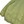 Load image into Gallery viewer, CP Company 80's Insulated Pale Yellow Vintage Jacket - XL (52)
