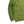 Load image into Gallery viewer, CP Company 2005 Green Double Layer Spellout Field Jacket - Medium (48)

