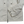 Load image into Gallery viewer, Stone Island 2025 Cream Suima Cotton Twill Stretch TC Jacket - XS

