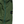Load image into Gallery viewer, Stone Island 2022 Nylon Metal Green Zipped Flight Cargo Trousers - 36"
