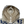Load image into Gallery viewer, Stone Island 2025 Scan Camo On Stretch Ripstop-OVD Zipped Jacket - Medium
