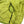Load image into Gallery viewer, CP Company Lime Green 50.3 Goggle Jacket - XL
