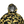 Load image into Gallery viewer, BAPE Goretex Camo Classic Multi-Pocket Long Jacket - Medium
