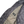 Load image into Gallery viewer, CP Company Early 2000’s Grey Down Quilted Multi Pocket Jacket - XXL
