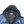 Load image into Gallery viewer, Stone Island 2018 Blue Pertex Quantum Y Down Long Puffer - Medium
