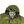 Load image into Gallery viewer, CP Company P.Ri.S.M Green Prismatic Ripstop Membrane Hooded Jacket - Large
