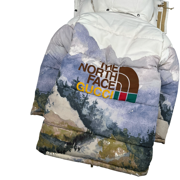 North Face X Gucci Mountain Print Down Filled Down Hooded Puffer Jacket - Small