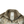 Load image into Gallery viewer, Stone Island x Nike Hyper Light Membrana 2L TC Windrunner - Medium
