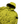 Load image into Gallery viewer, Stone Island Yellow David TC Garment Dyed Parka Jacket - Large
