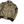 Load image into Gallery viewer, Stone Island 2007 Beige Nylon Zipped Bomber Jacket - XL
