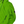 Load image into Gallery viewer, CP Company Apple Green Shell R Jacket - XL
