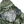 Load image into Gallery viewer, Canada Goose Dark Sage Lightweight Packable Nylon Hooded Jacket - Large
