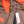 Load image into Gallery viewer, Stone Island 2022 Pink/Orange Nylon Metal Watro Primaloft Parka - Small

