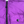 Load image into Gallery viewer, Stone Island Fuchia Purple Naslan Light Watro Down TC Puffer - XL
