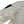 Load image into Gallery viewer, Stone Island 2021 Cream Garment Dyed David TC Long Parka Jacket - Medium
