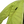 Load image into Gallery viewer, Stone Island 2019 Yellow Crinkle Reps Padded Jacket - Small
