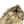 Load image into Gallery viewer, CP Company Vintage Piuma Doca Down Fur Hood Jacket - Small

