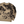 Load image into Gallery viewer, Stone Island 2024 Organic Camouflage Pullover Crewneck - Medium
