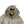 Load image into Gallery viewer, CP Company Beige Sherling Collar Moleskin Multi Pocket Goggle Jacket - XL
