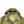Load image into Gallery viewer, CP Company Yellow M Bossed Quilted Goggle Jacket - Medium
