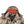 Load image into Gallery viewer, Stone Island 2024 Ice Earth Mapping Camouflage Down Jacket - Large
