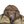 Load image into Gallery viewer, Stone Island 2024 Glass Cover TC Fishtail Parka Jacket - Large

