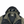 Load image into Gallery viewer, CP Company 50 Fili Multi Pocket Watch View Finder Goggle Jacket - Large
