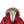 Load image into Gallery viewer, Stone Island 2015 Silver Sherling Liner Coyote Fur Hood David TC Jacket - Small
