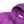 Load image into Gallery viewer, Stone Island 2018 Fuchia Down Filled Crinkle Puffer Jacket - Medium
