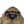 Load image into Gallery viewer, Ralph Lauren Brown Down Filled Jacket - Medium
