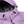Load image into Gallery viewer, Supreme X North Face Purple Spellout Summit Series Waterproof Jacket - Medium
