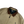 Load image into Gallery viewer, Ralph Lauren Vintage Flannel Lined Beige Harrington Jacket - XL
