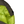 Load image into Gallery viewer, CP Company Neon/Khaki DD Shell Lens View Puffer Jacket - Large
