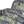 Load image into Gallery viewer, Burberry Green Camo Down Filled Hooded Puffer Jacket - Medium
