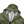 Load image into Gallery viewer, Stone Island Green Membrana 3L TC Hooded Jacket - Medium
