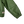 Load image into Gallery viewer, Stussy Leather Sherling Lined Green Work Jacket - Small
